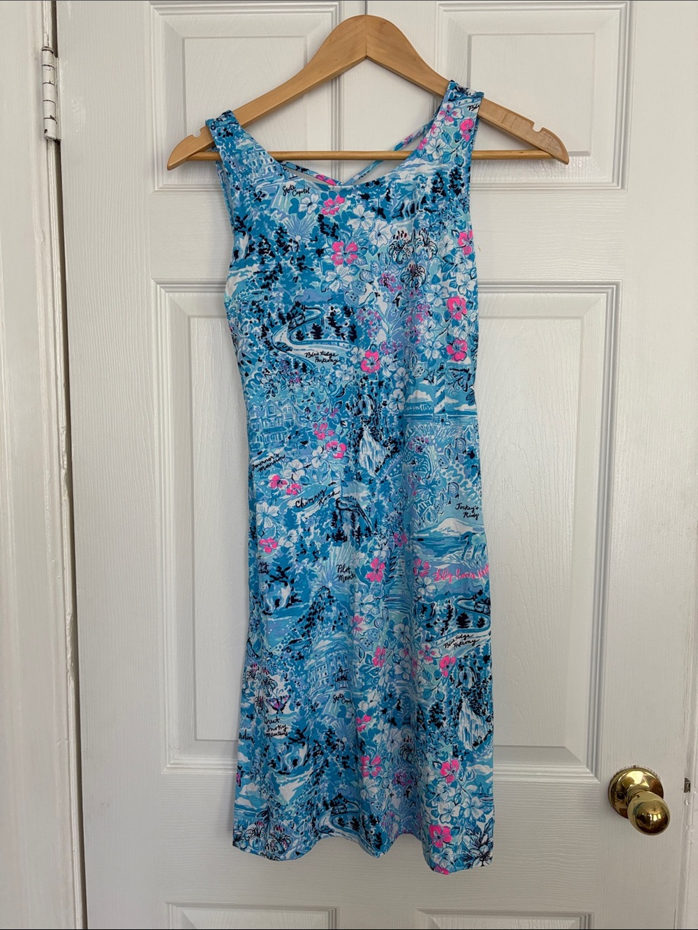 Lilly Pulitzer Blue Tropical Floral Sleeveless Dress xs